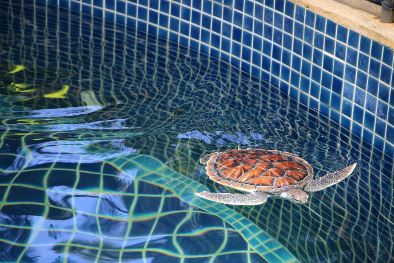 Jw Marriott Phuket Resort And Spa Maikhau-part Kültér fotó